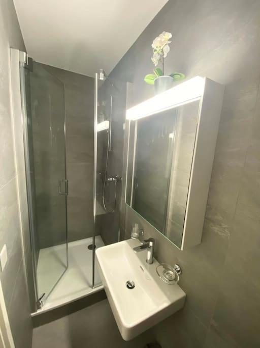 Beautiful Flat With Nice Lake And Mountain Views Weggis Exterior foto