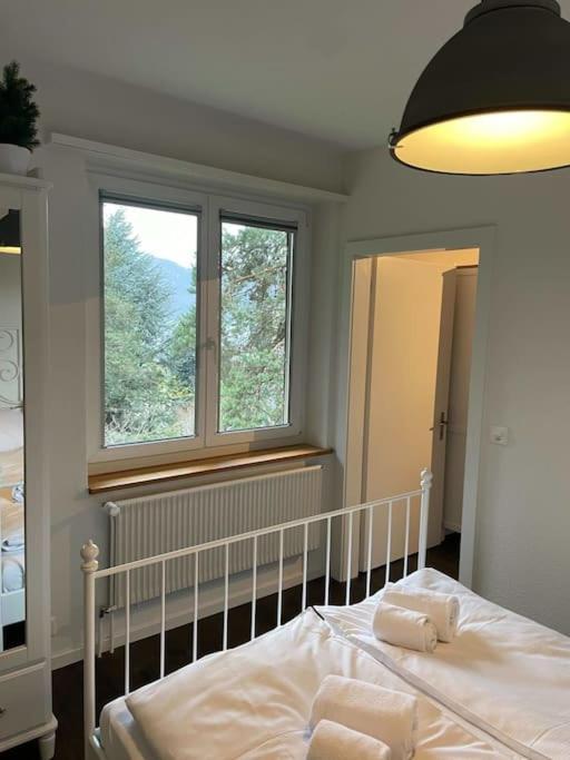 Beautiful Flat With Nice Lake And Mountain Views Weggis Exterior foto