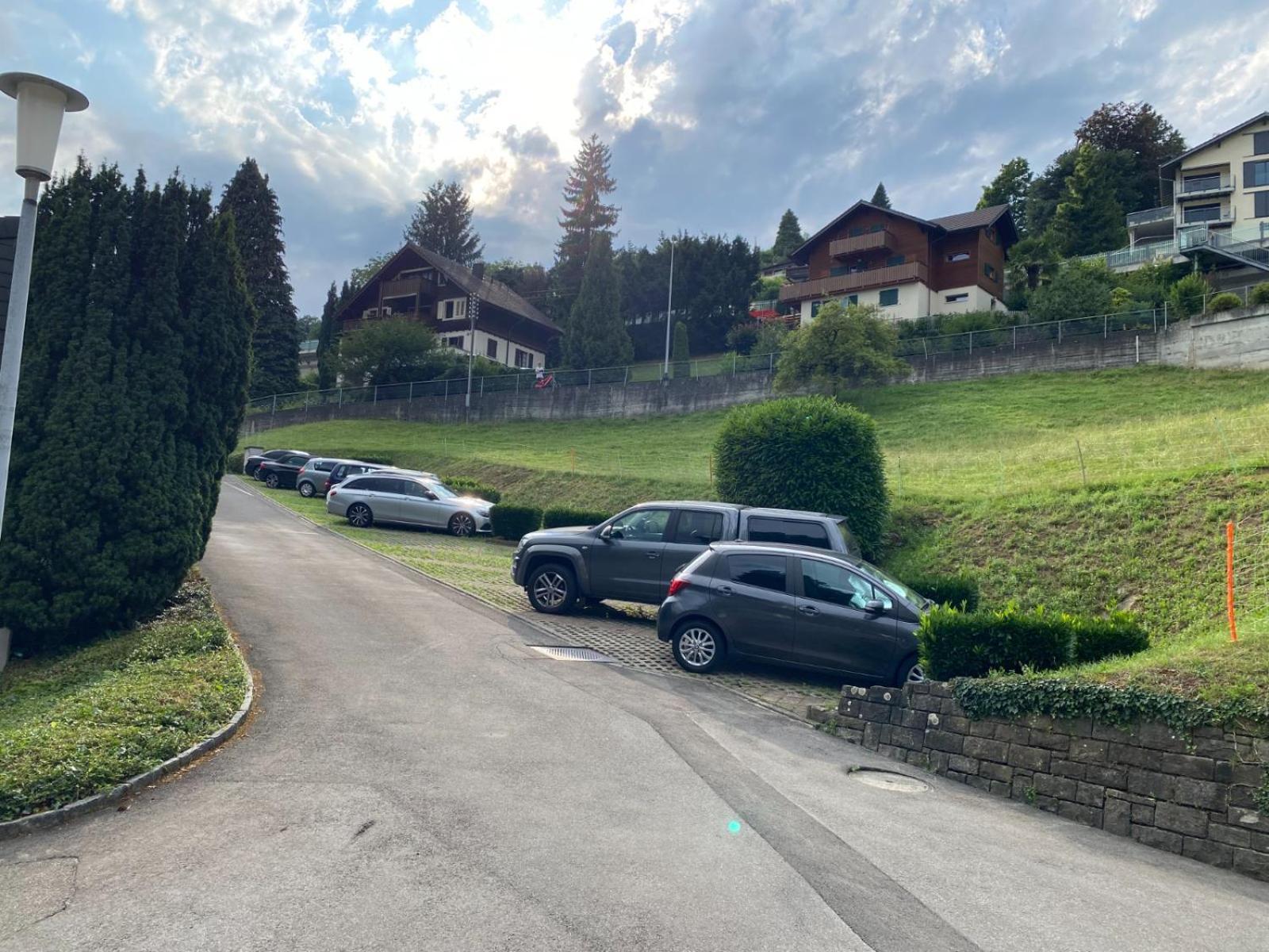 Beautiful Flat With Nice Lake And Mountain Views Weggis Exterior foto